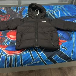 Northface Coat 