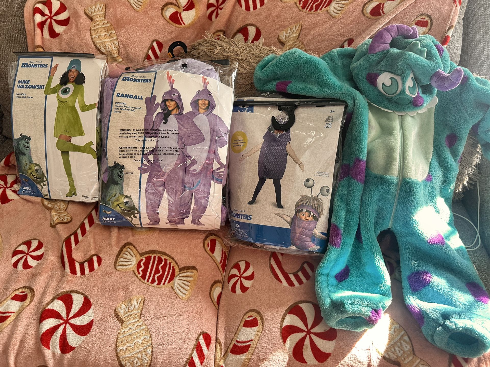 Monsters Inc Costume Family