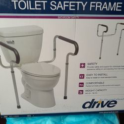 Toilet Safe Frame 