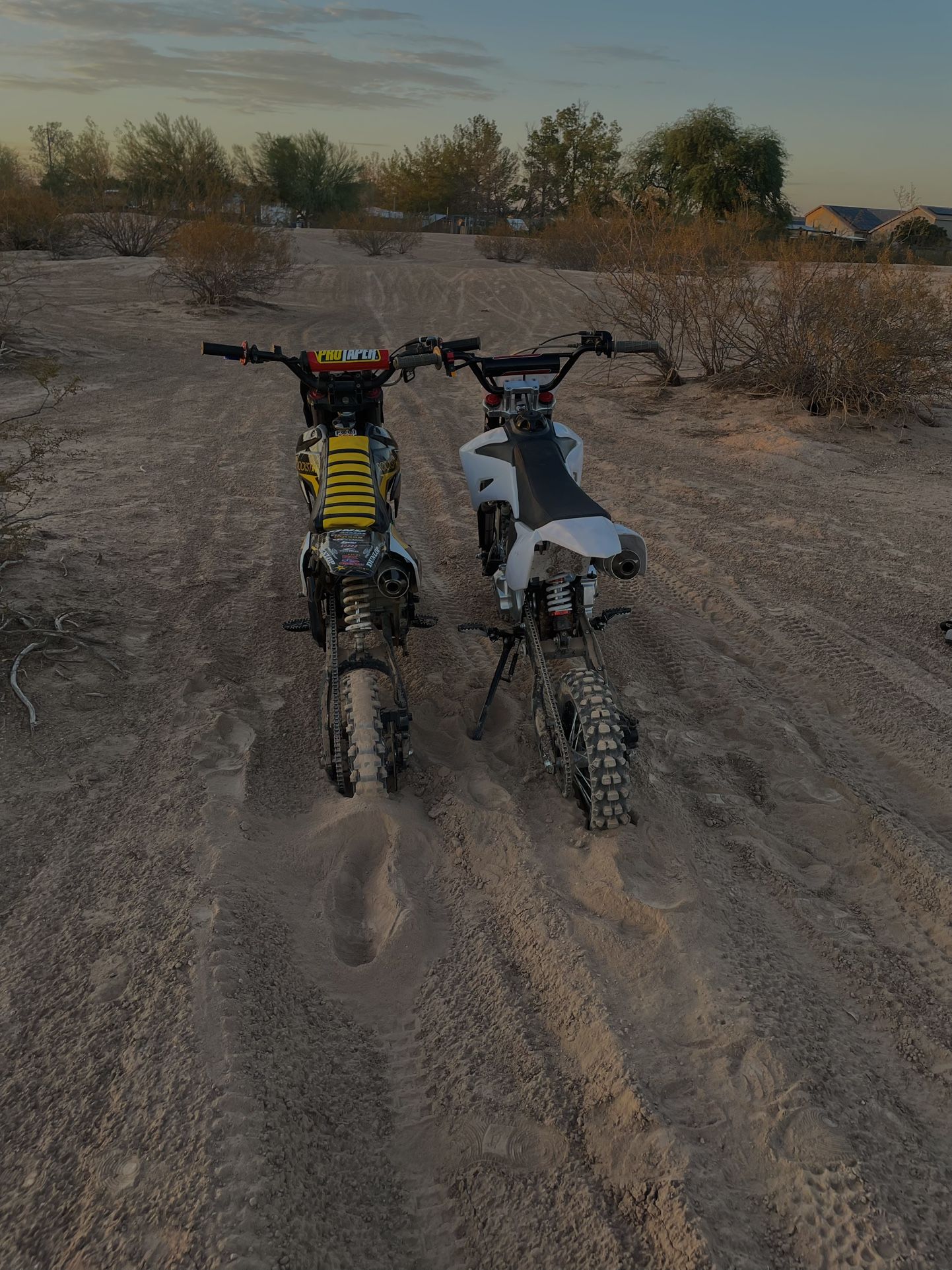 Dirt Bike (WHITE NOT FOR SALE)