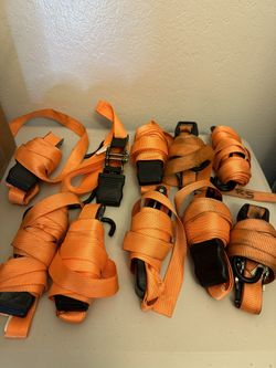 Tie Downs & Bungee Cords for Moving