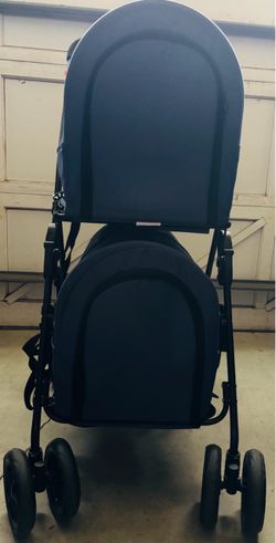 Stroller for two small dogs