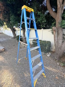 (2) Werner 8’ Ladders