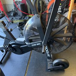 Rogue Echo Bike V2.0 Winguard Turf Tires and Heavy Duty Pull Handle
