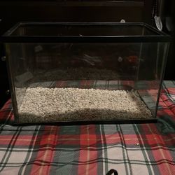 5 Gallon Fish Tank And Accessories