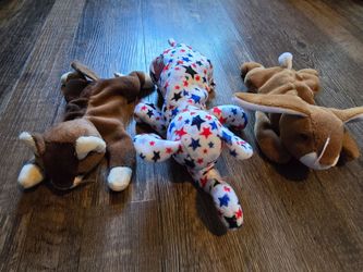 TY Retired Beannie Baby Friends