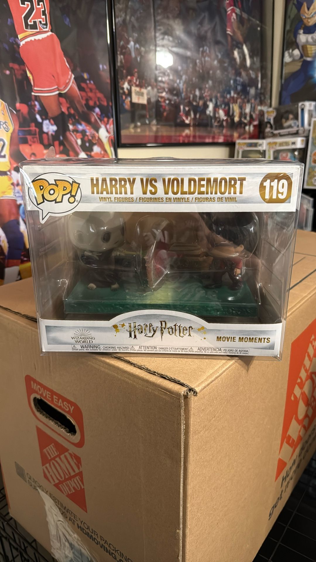 Harry Potter Vs Voldemort
