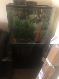 Fish tank