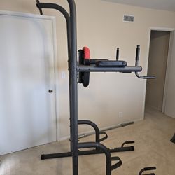 Weider Pull Up Bar Station
