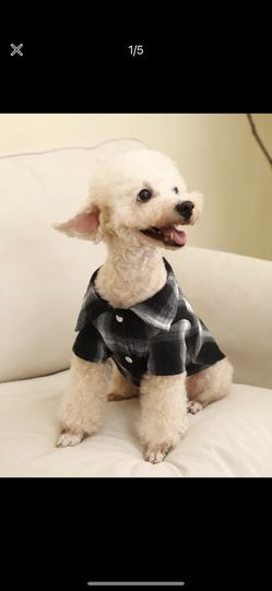 pet shirt