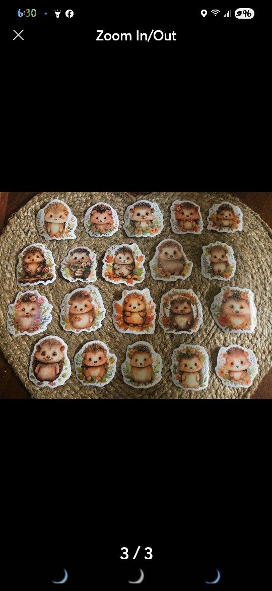 Hedgehog Stickers 20