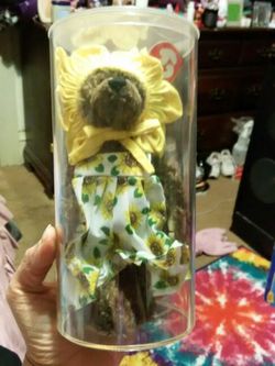 Adorable Ty stuffed animal in case