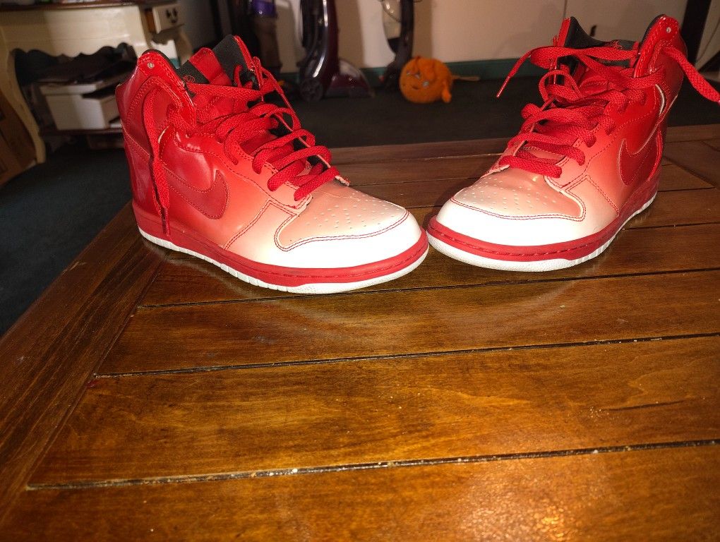 Nike Dunk Supreme Hight Top Size 8.5