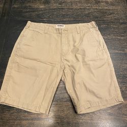 EXPRESS Shorts (31)