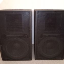 Fatail Pro 12 And Horn Pa Speakers
