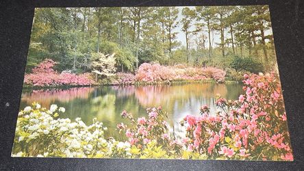 a vintage postcard depicting Bellingrath Gardens in Mobile, Alabama
