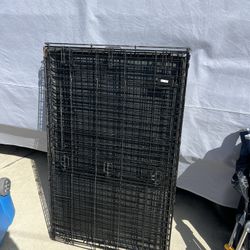 Dog Kennel 
