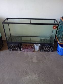 55 gallon tank