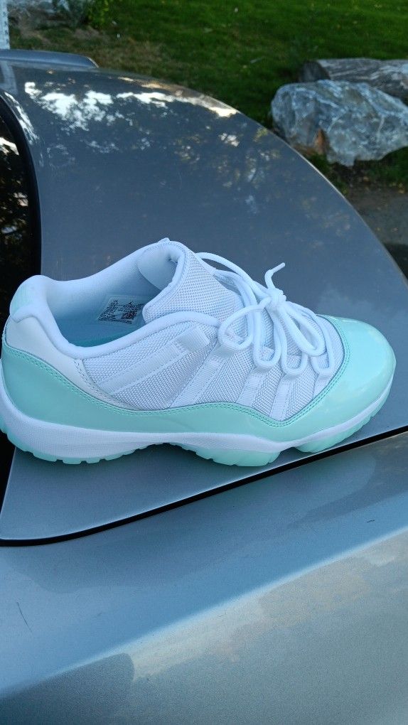Jordan 11's IGLOO