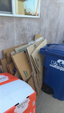 Cardboard boxes