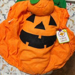 Large Halloween Dog Costumes 