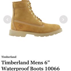 Mens Brand New Timberlands 12