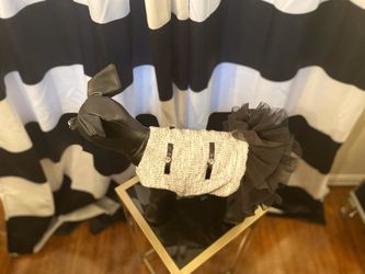 Chic Pet Clothes