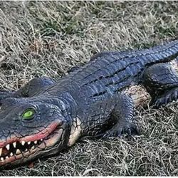 3 - Foam Alligators. Horror. Halloween. 