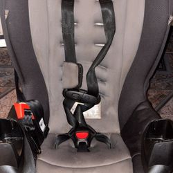 Evenflo Car Seat