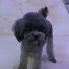 Winnie