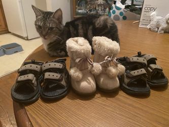 Sandals  And Boots $5 For All  Cat Not Included