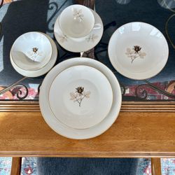 Vintage Dinnerware Rosenthal “Shadow Rose”