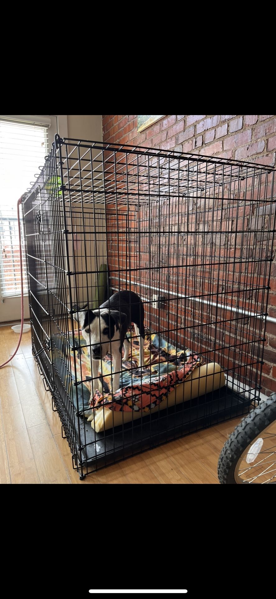 XL Dog Crate