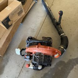 Echo Leaf Blower