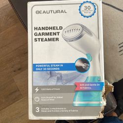 Hand held Steamer
