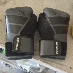 Youth Boxing Gloves HAYABUSA