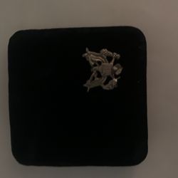 Collectors Coin Enclosure Box