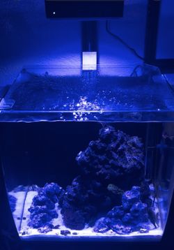 Nano Reef Full Setup 20 All-in-one Desktop