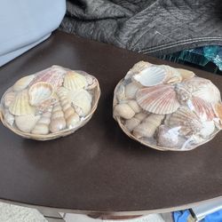 Basket Of Sea Shells 6" X 6" X 3”