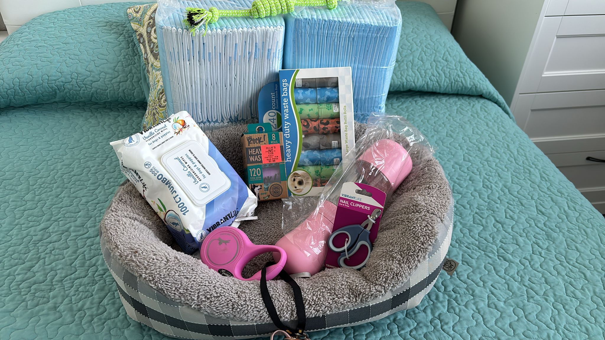 New Dog Items