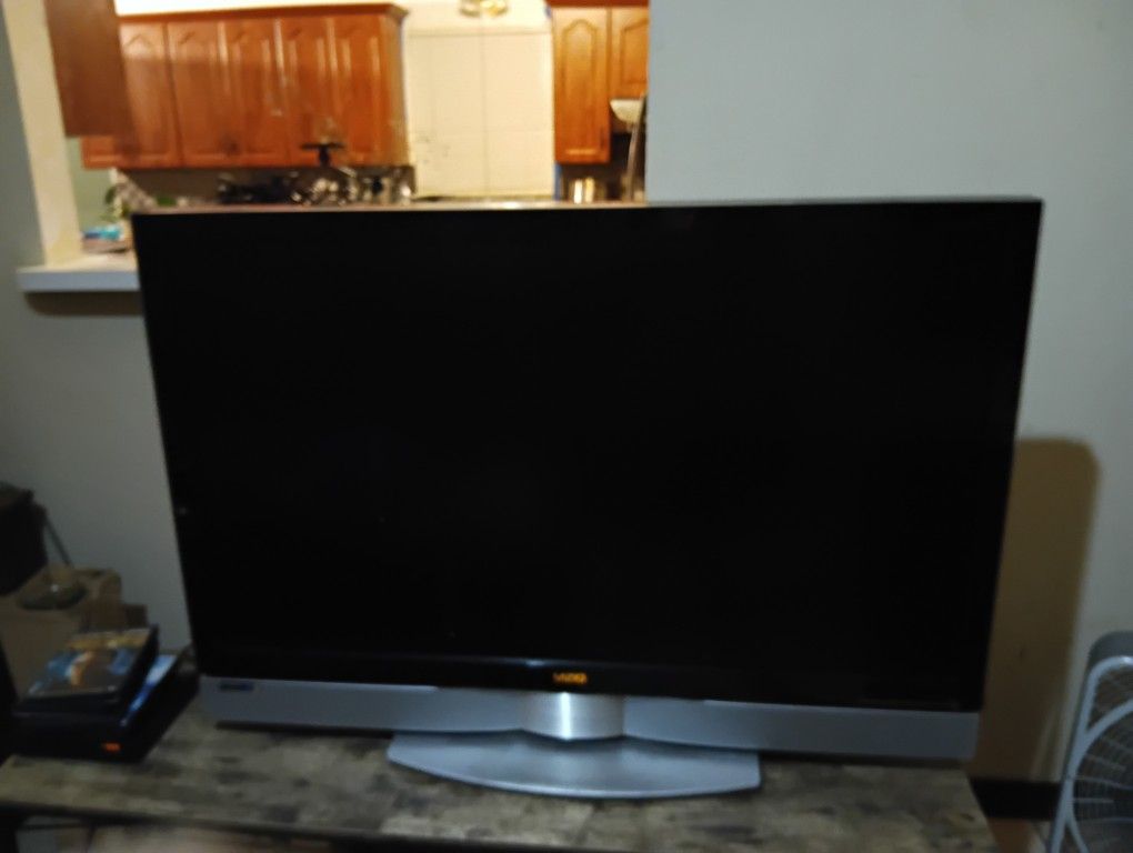 48" Vizio Color Flat Screen