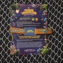 Beyond Wonderland Bracelet 2-Day  GA