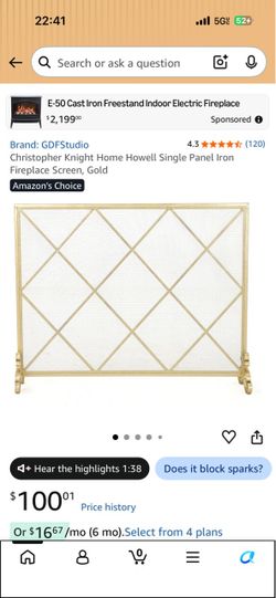 Fireplace Screen Gate Cover - Gold