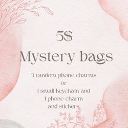 5$ Mystery Bags