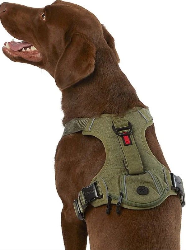 Kong Green Pet Harness
