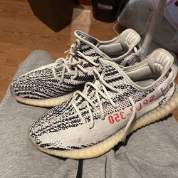 Zebra Yeezys Size 11