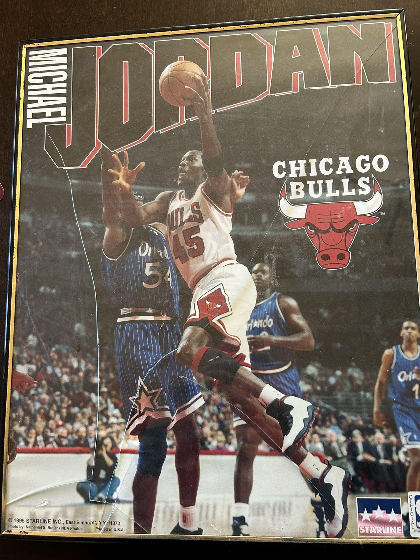 michael jordan photograph 1995