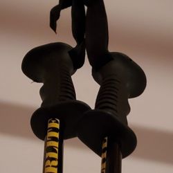 Ski Poles