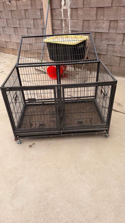 Kennel