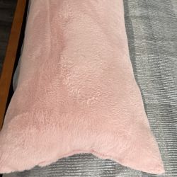 Brand New Pillow Never Use